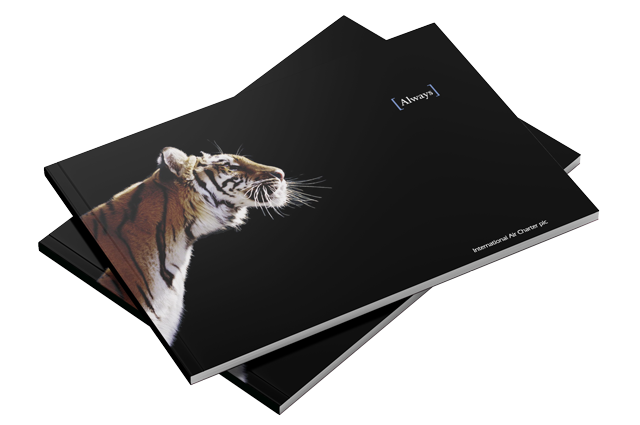 IAC Dubai, Brochure Design & Print Project